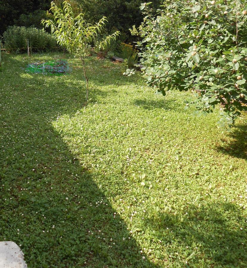 Tranquity Studio Apartment Ika Lovran Dış mekan fotoğraf